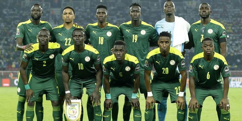 Qatar 2022: Hành trình đáng ghi nhận của Sénégal